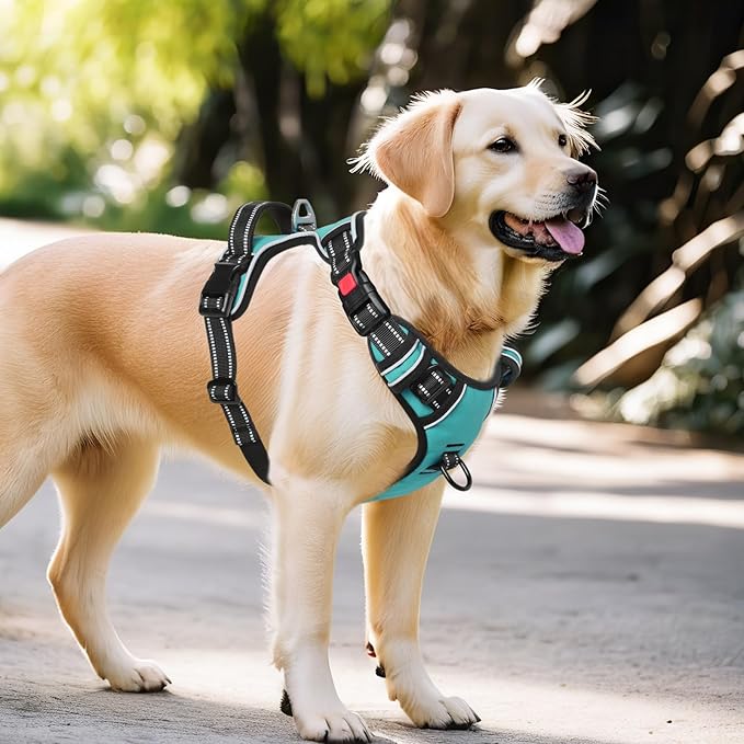 Timos Dog Harness,NO Need Go Over Dogs Head 3 Snap Buckles Pet Harness with 2 Leash Clips,Adjustable Soft Padded No-Pull,Reflective No-ChokeOxford Vest for Small Medium Large Dogs,X-Large (Pack of 1) Timos