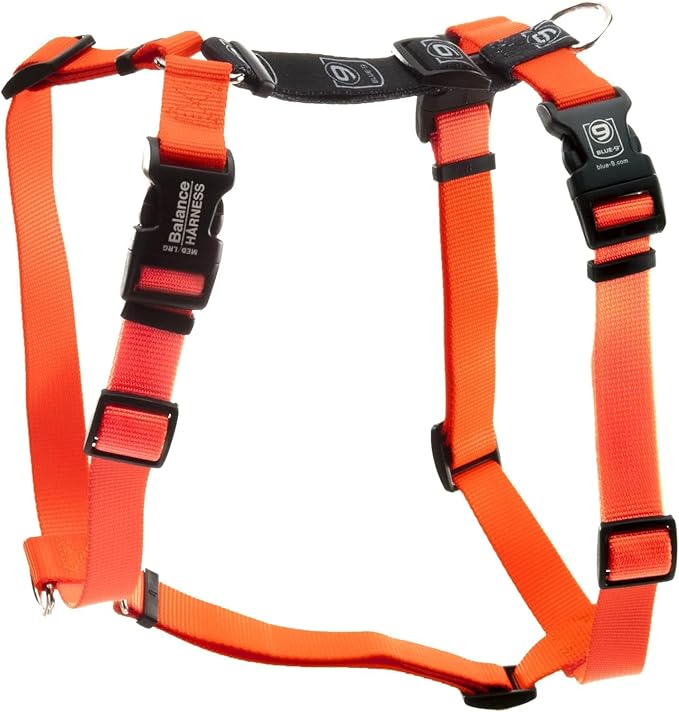 Blue-9 Buckle-Neck Balance Harness, Fully Customizable Fit No-Pull Harness, Ideal for Dog Training and Obedience, Made in The USA, Orange, Medium/Large Blue-9