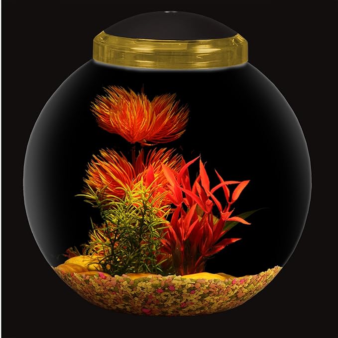 Koller Products 3-Gallon Globe Fish Bowl, Impact- Resistant Plastic Fish Tank with LED Lighting, Crystal-Clear Clarity, Desktop Aquarium Tank for Betta Nano Goldfish Peacockfish Zebrafish, Home Décor DISCOVERTHEEXCITINGWORLDOFKEEPINGTROPICALFISH