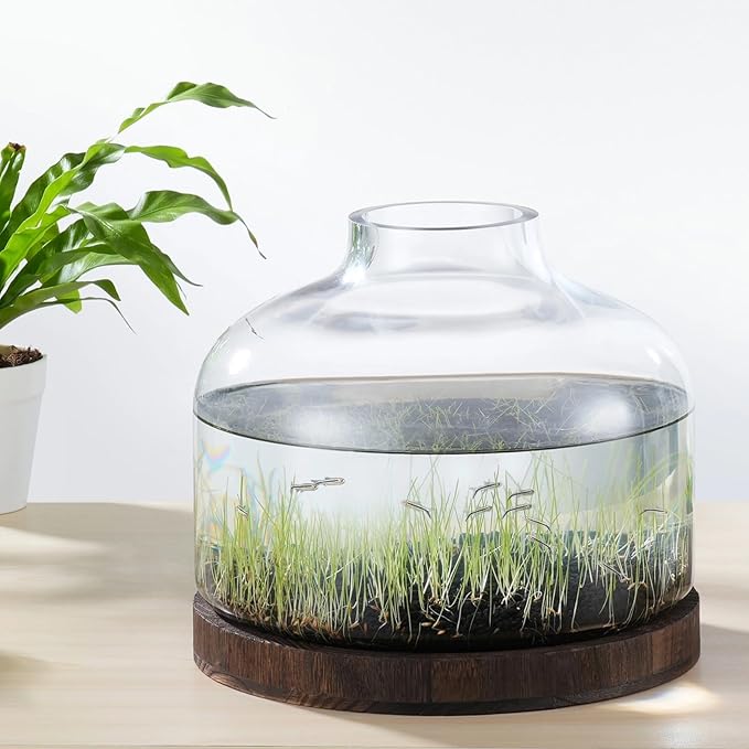 PONDON 2 Gallon Fish Bowl Vase, Featured Aquarium Kit Aquariums Channel, Wooden Base and Water Changer Included PONDON