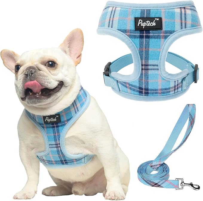 PUPTECK Soft Mesh Dog Harness and Leash Set Pet Puppy Cat Comfort Padded Vest No Pull Harnesses, Light Blue, M PUPTECK