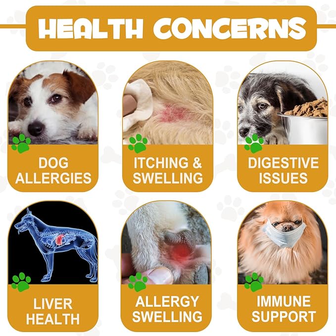 Allergy Relief Drops for Dogs - Allergy and Immune - Immune Support Supplement - Dog Supplement - Natural Pet Supplement for Dog Allergy Relief with Turmeric & Milk Thistle PAWPICO