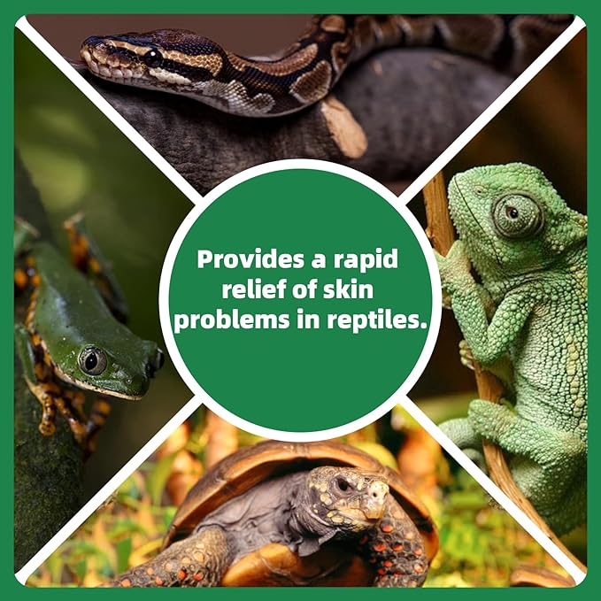 Reptile Wound Care Spray, Lizard & Snake Skin Repair, Relief Support for Reptile Skin Issues, Sores, Shedding, Scale Rot 1 fl oz NUTRIARISE