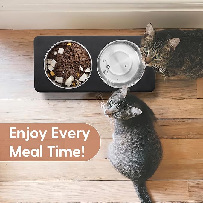 Elevated Cat Bowls, 15° Tilted Raised Cat Food Bowls Wood Pet Bowls with Stand Anti Vomiting 2 Stainless Steel Bowls for Cats and Puppy - PAWPICO