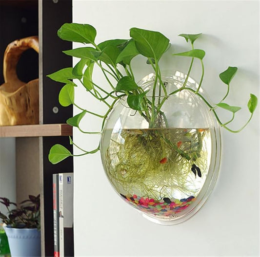Hanging Wall Mounted Fish Bowl Betta Tank Aquarium Wall Decor Plant Fish Bubble - Clear (Medium) Sweetsea
