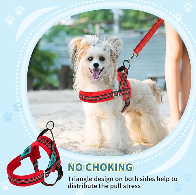 SlowTon No Pull Small Dog Harness and Leash Set, Puppy Soft Vest Harness Neck & Chest Adjustable, Reflective Lightweight Harness & Anti-Twist Pet Lead Combo for Small Medium Dogs (Red, XS) SlowTon