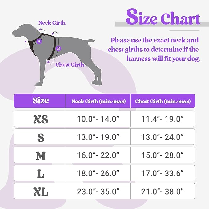 rabbitgoo Dog Harness No Pull with 2 Leash Clips, Adjustable Soft Padded, Reflective Oxford No Choke Pet Vest with Easy Control Handle for Large Dogs, Purple, L rabbitgoo