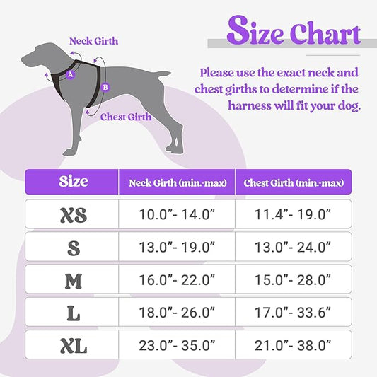 rabbitgoo Dog Harness No Pull with 2 Leash Clips, Adjustable Soft Padded, Reflective Oxford No Choke Pet Vest with Easy Control Handle for Large Dogs, Purple, XL rabbitgoo