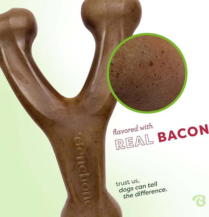 Benebone Wishbone Durable Dog Chew Toy for Aggressive Chewers, Made in USA, Giant, Real Bacon Flavor - PAWPICO