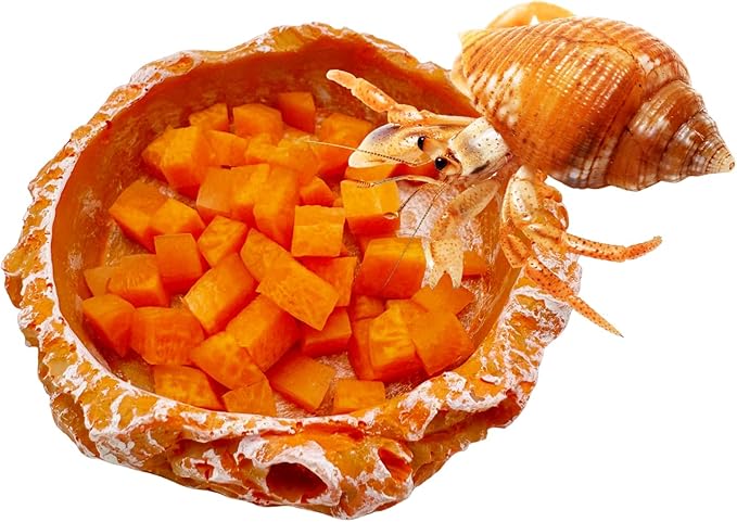 3 Pack Reptile Water Dish Food Bowl, Reptile Feeding Terrarium Bowls for Bearded Dragon Lizard Frog Gecko Tortoise Hermit Crab Snail (Orange) CATDABIR
