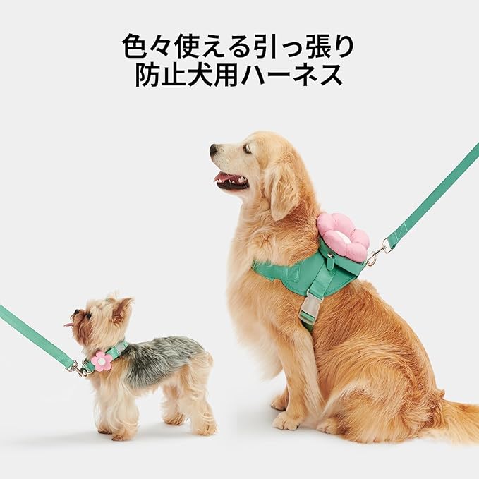 VETRESKA Flora Dog Harness, Leash and Collar Set, No Pull Dog Vest Harness for Walking and Training, Adjustable, Easy Control and Soft Padded Pet Harness and Backpack for Small Medium Large Dogs, XS - PAWPICO