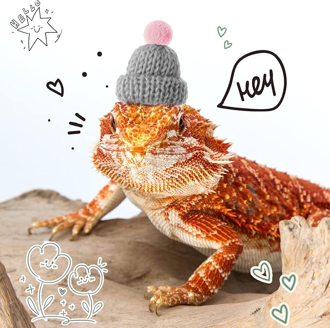 Kajaia 10 Pieces Pet Snake Hat Hamster Hat with Adjustable Elastic Strap, Snake Ball Hamster Python Lizard Guinea Pig Knitted Hat with Pompon for Small Reptile Animal Decoration Accessories Kajaia