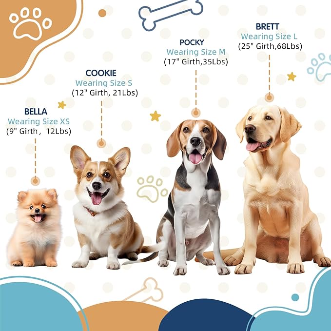 Tri-Color Dog Harness, Adjustable Step-in Design No Pull Dog Harness for Medium Dogs No Pull, Heavy Duty Puppy Harness, Easy for Walking Dog Harness Medium Size Dog Blue Orange Pawhuggies