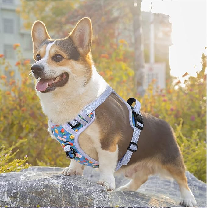 Timos Dog Harness, No-Pull Pet Harness with 2 Leash Clips, Adjustable Soft Padded Dog Vest, Reflective Outdoor Pet Oxford Vest with Easy Control Handle Timos
