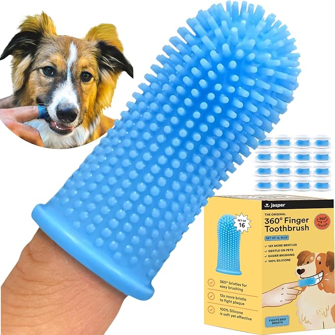 Jasper Dog Toothbrush, 360º Dog Tooth Brushing Kit, Cat Toothbrush, Dog Teeth Cleaning, Dog Finger Toothbrush, Dog Tooth Brush for Small & Large Pets, Dog Toothpaste Not Included, 16-Pack Blue JASPER%C2%AE