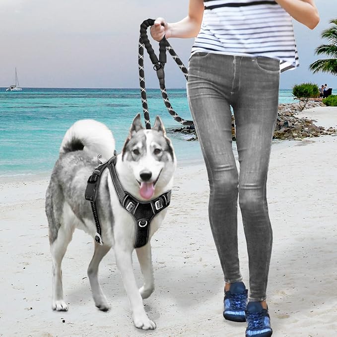 BARKBAY No Pull Dog Harness Large Reflective Dog Harness with Front Clip and Easy Control Handle for Walking Training Running with ID tag Pocket(Black,XL) - PAWPICO