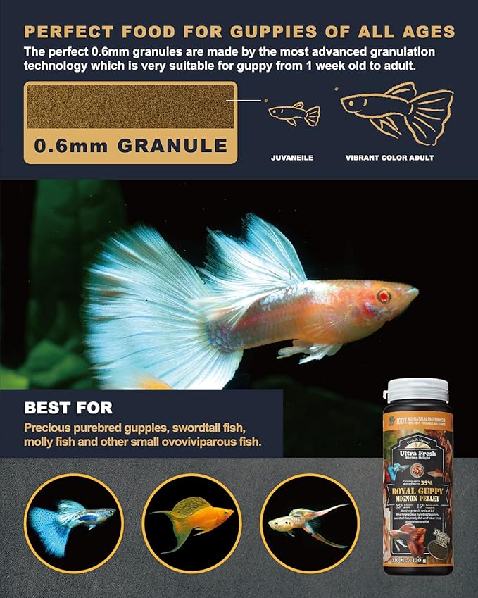 Ultra Fresh Royal Guppy Mignon Pellet, All Natural Guppy Food, Sword Prawns, Spirulina, Seaweeds, Highly Nutritious, for Cleaner Water and More Vibrant Color 4.6 oz UltraFresh-ShrimpDelight