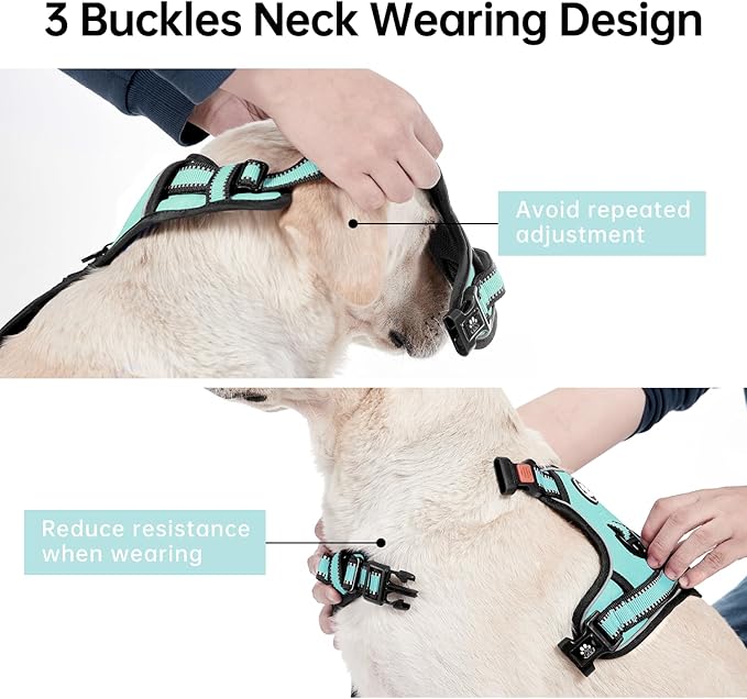 IVY&LANE No Pull Dog Harness with Leash Set, Reflective No Choke Pet Vest,Adjustable Oxford Dog Vest Harness with Easy Control Handle for Large Dogs (Turquoise,XL) IVYLANE