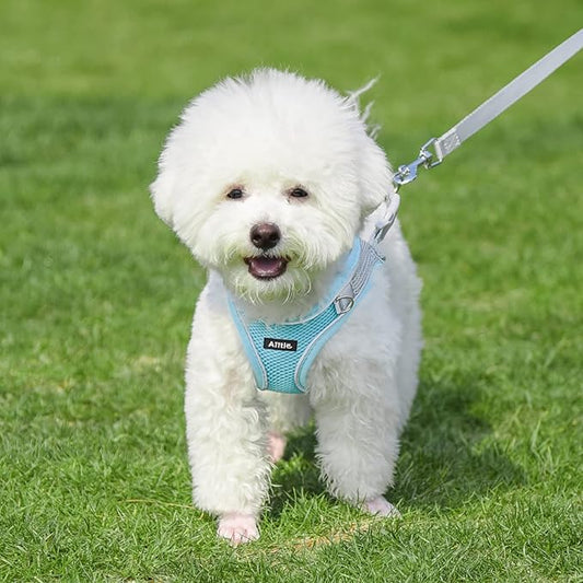 AIITLE Easy Walk Dog Harness and Leash Set - Pet Supply No Pull, Step in Adjustable Dog Harness with Padded Vest for Spring, Dog Harness No Choke Over, Easy to Put on Medium Dogs Blue L AIITLE-FORPETSBETTERLIFE