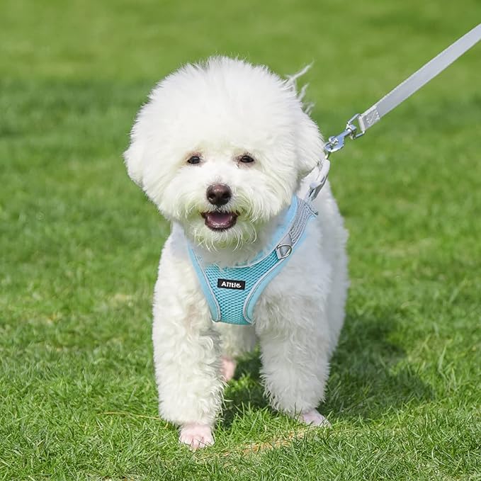AIITLE Dog Harness, Spring No-Pull Cat Harness with a Leash, Adjustable Reflective Dog Vest, Cat Harness Escape Proof, Outdoor Walking, Camping for Extra Small Dogs and House Cats Blue XXXS AIITLE-FORPETSBETTERLIFE