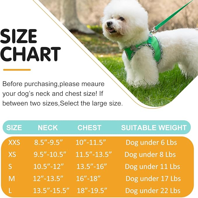 Dog Harness and Leash Set, No Pull Pet Harness for Small Dogs Easy Walking,Soft Breathable Small Dog Harness,Adjustable Reflective Step in Vest Harness for Puppy,Kitten, Cats TomteNisse