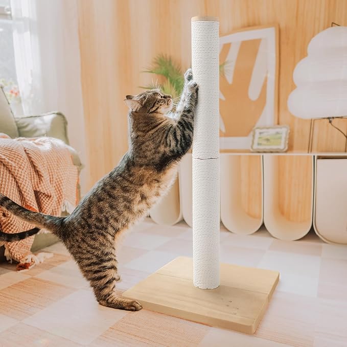 Necoichi 31.5” Tall Cat Scratching Post Kitten Scratcher Paper Rope Scratch Posts Trees with Hanging for Indoor Cats (31.5 inches for Adult Cats, Large, Oak) - PAWPICO