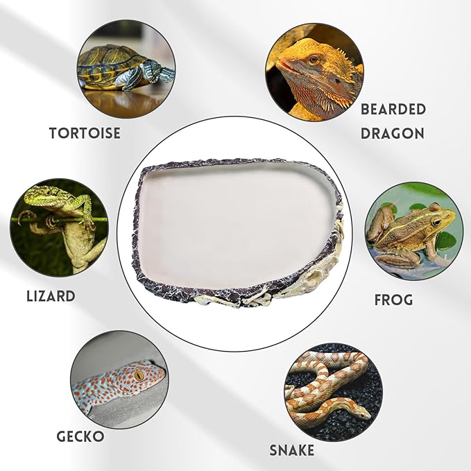 Reptile Water Bowl Food Dish Resin Rock Reptile Feeder Tortoise Food and Water Feeding Plate Amphibian Drinking Basin Reptile Habitat Tank Accessories for Turtle Lizard Leopard Gecko Chameleon MUYG