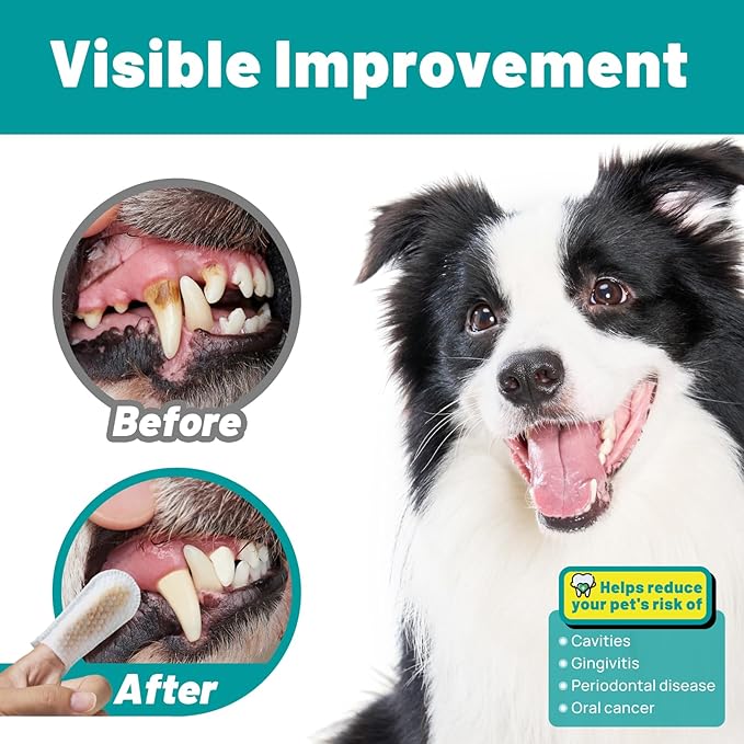 Dog Dental Care Wipes - Cat & Dog Teeth Cleaning Finger Wipes - Dog Tooth Brushing Kit Dental Wipes - Reduces Plaque & Freshens Breath, Beef Flavor (50 Pcs) SmileDenX