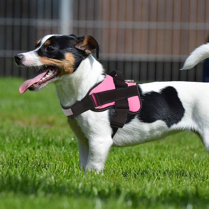 Bolux Dog Harness, No-Pull Reflective Dog Vest, Breathable Adjustable Pet Harness with Handle for Outdoor Walking - No More Pulling, Tugging or Choking (Pink, S) Bolux