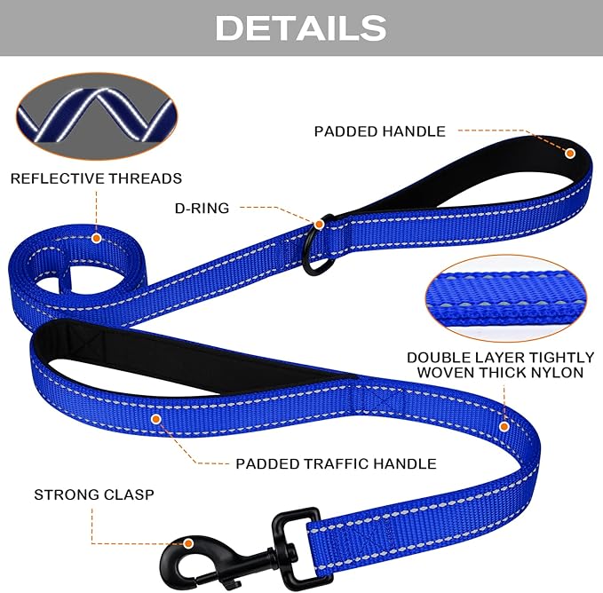 Joytale Dog Leash Heavy Duty for Large Dogs That Pull, Double Handle for Traffic Control, Double-Sided Reflective Leashes for Large Medium Dogs Night Safety, 5FT, Royal Blue Joytale