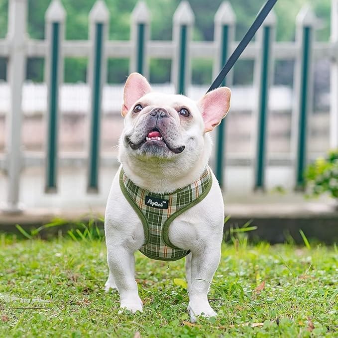 PUPTECK Soft Mesh Dog Harness and Leash Set Pet Puppy Cat Comfort Padded Vest No Pull Harnesses, Olive Green, S PUPTECK