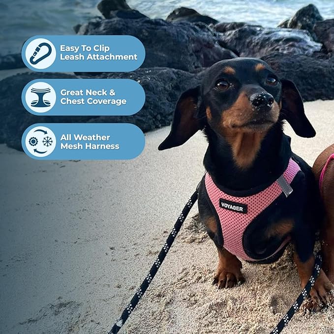 Voyager Step-in Air Dog Harness - All Weather Mesh, Reflective, No Pull Harness for Small, Medium Dogs, Cats - Secure with Hook & Loop Fastener, Buckle, Double D-Rings - Pink/Black Trim, S BestPetSuppliesLLC