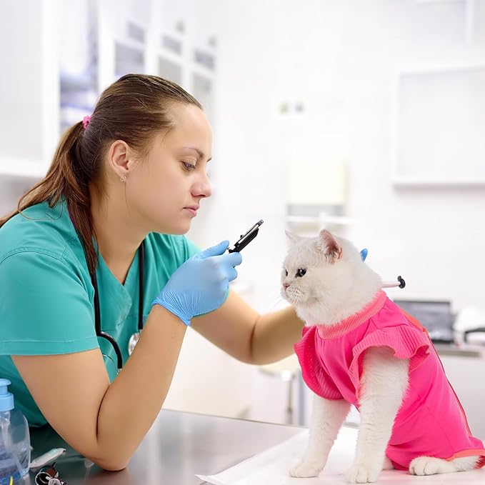 Avont Cat Recovery Suit - Post-Surgery Onesie for Cats, Alternative to Cone of Shame, Protective Spay Suit for Female Kitten, Ideal for Healing and Skin Conditions -Magenta(M+) Avont