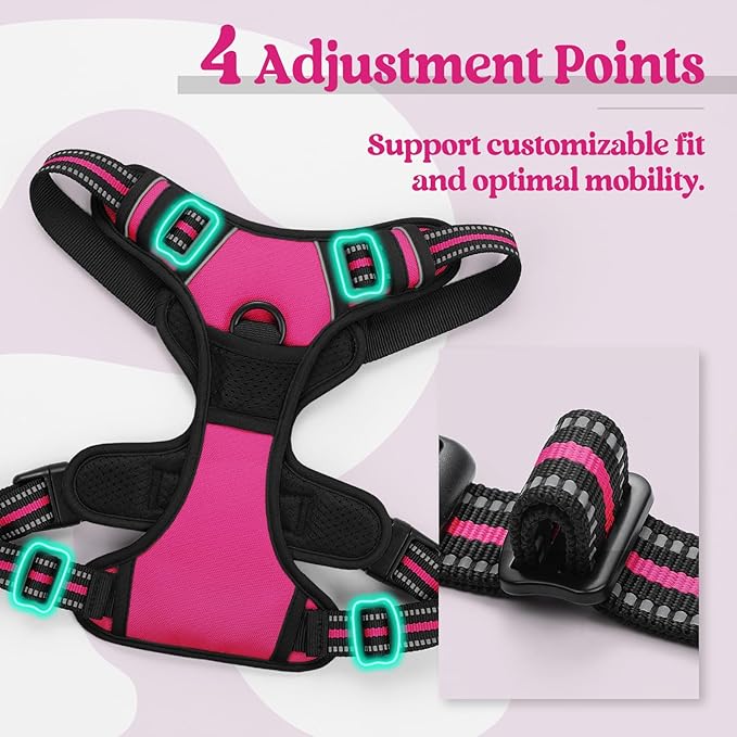 rabbitgoo Dog Harness No Pull with 2 Leash Clips, Adjustable Soft Padded, Reflective Oxford No Choke Pet Vest with Easy Control Handle for Large Dogs, Hot Pink, XL rabbitgoo