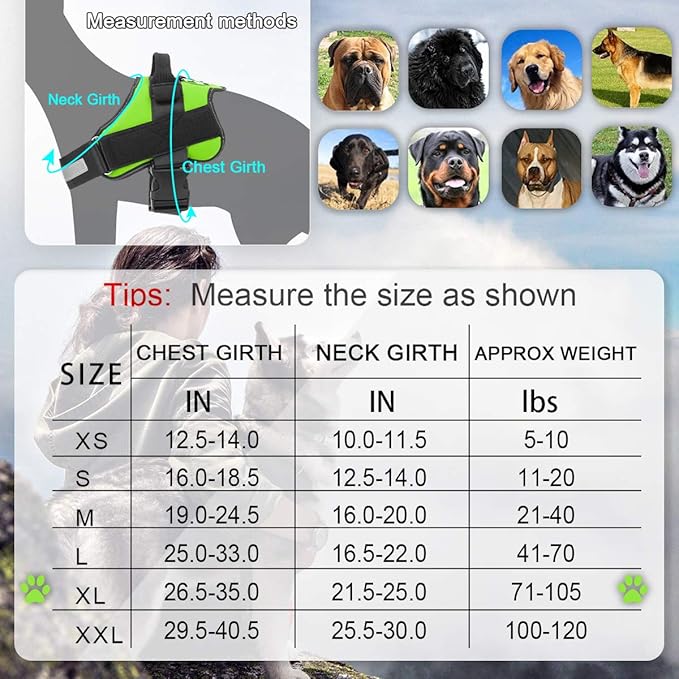 Bolux Dog Harness, No-Pull Reflective Dog Vest, Breathable Adjustable Pet Harness with Handle for Outdoor Walking - No More Pulling, Tugging or Choking (Green, XL) Bolux