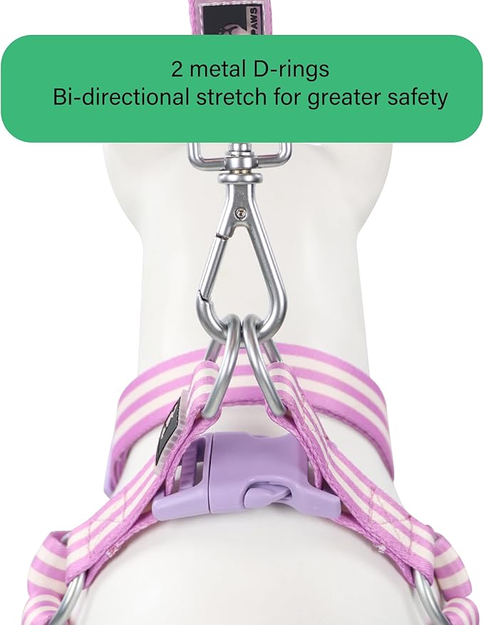 Striped Dog Harness Collar and Leash Set, Polyester Webbing Dog Collar Easy Walking and Training Dog Harness and Leash 3-in-1 Suit Adjustable Dog Harness Collar Leash Set for Dogs(Purple, M) Tiffpaws