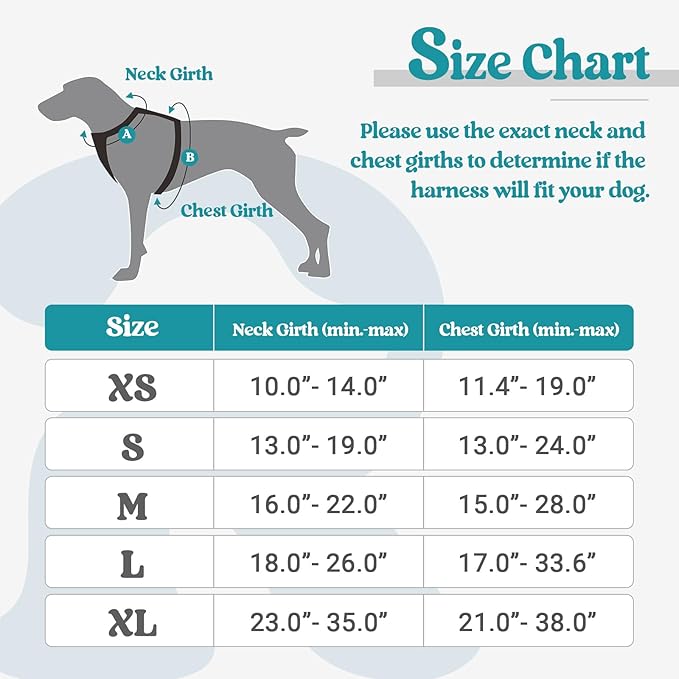 rabbitgoo Dog Harness No Pull with 2 Leash Clips, Adjustable Soft Padded, Reflective Oxford No Choke Pet Vest with Easy Control Handle for Puppy, Teal, XS rabbitgoo