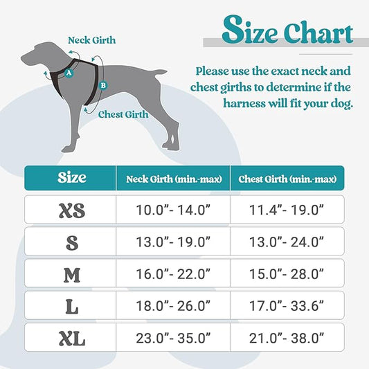 rabbitgoo Dog Harness No Pull with 2 Leash Clips, Adjustable Soft Padded, Reflective Oxford No Choke Pet Vest with Easy Control Handle for Medium Sized Dogs, Teal, M rabbitgoo