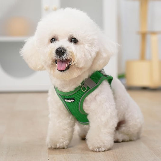 AIITLE Dog Harness, Spring No-Pull Cat Harness with a Leash, Adjustable Reflective Dog Vest, Cat Harness Escape Proof, Outdoor Walking, Camping for Extra Small Dogs and House Cats Green XXXS AIITLE-FORPETSBETTERLIFE