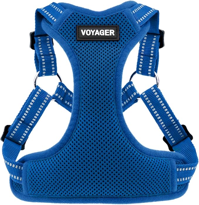Best Pet Supplies Voyager Adjustable Dog Vest Harness Breathable No Pull Harness for Small, Medium, Large Dogs, Harness for Walking, Jogging, Easy Step-in, Reflective Stripes - (Royal Blue), L BestPetSuppliesLLC