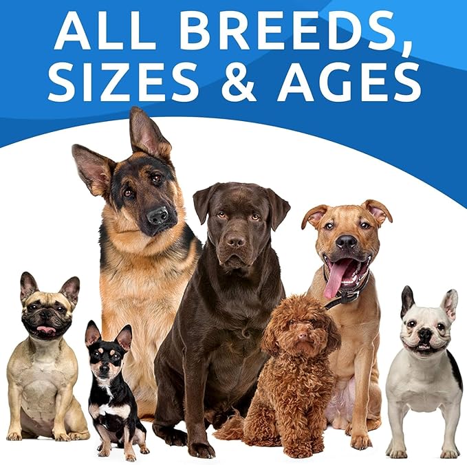 BARK&SPARK Dog Allergy Relief Chews (180 Immune Treats) - Anti-Itch Skin & Coat Supplement - Omega 3 Fish Oil - Itchy Skin Relief Treatment Pills - Itching&Paw Licking - Dry Skin & Hot Spots BARKSPARK