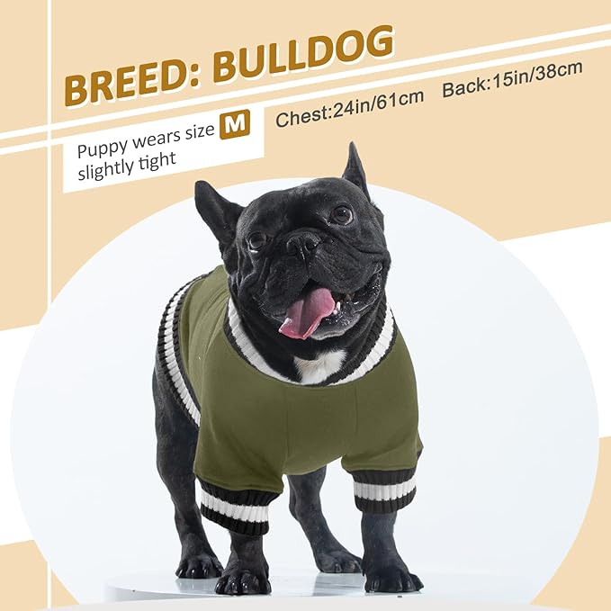 FUAMEY Dog Pullover Sweatshirt,Dog Winter Sweaters Warm Dog Clothes Dog Vest Thick Puppy Pullover Soft Pet Fleece Sweater Cute Doggie Boy Girl Outfit for Small Medium Dogs Green XL - PAWPICO