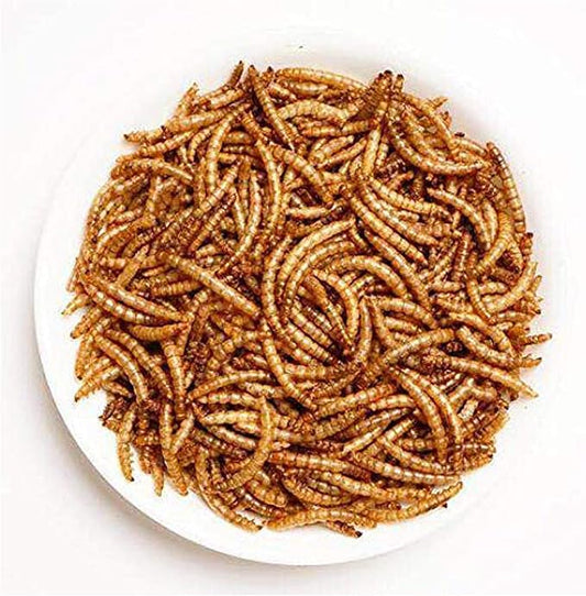 Amzey Dried Mealworms 11 LBS - 100% Natural for Chicken Feed, Bird Food, Fish Food, Turtle Food, Duck Food, Reptile Food, Non-GMO, No Preservatives, High Protein and Nutrition Amzey