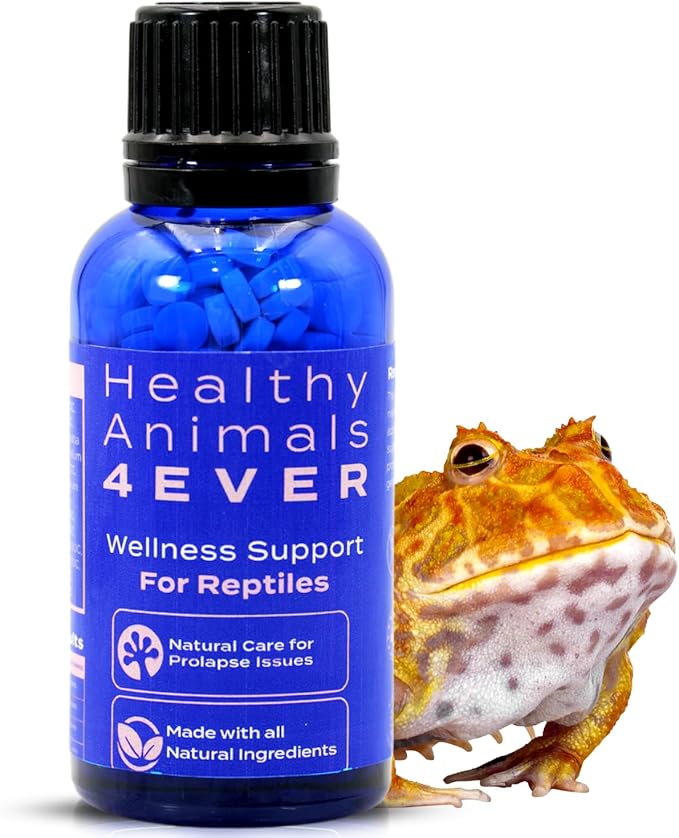 HealthyAnimals4Ever Reptile Wellness Support - Natural Care for Prolapse Management, Organ Retention & Enhanced Tissue Health - Gentle, Holistic Recovery Formula for Reptile Well-Being - 300 Count HealthyAnimals4ever