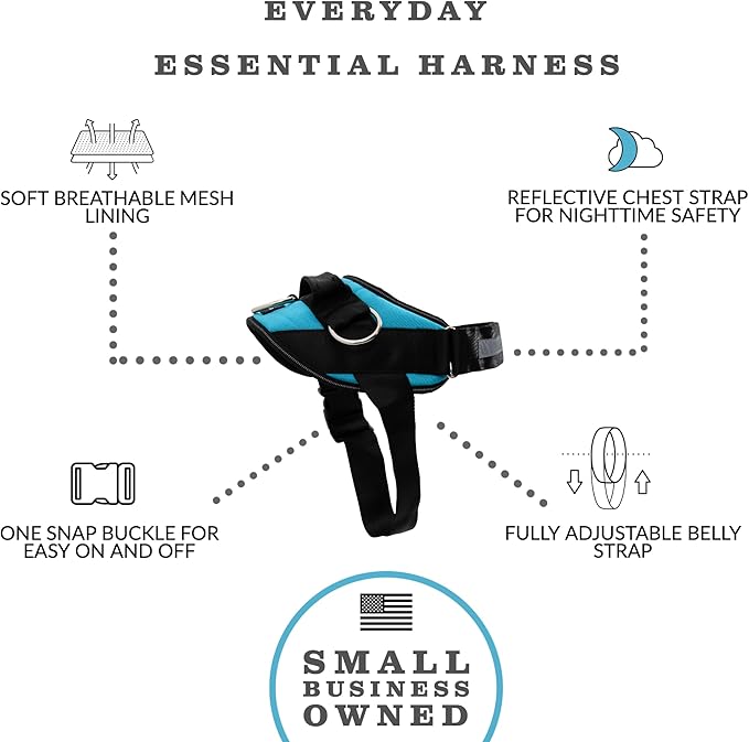 ShawnCo Essential Dog Harness, No-Pull Pet Vest with 3 Leash Clips, No Choke, Reflective, Adjustable and Padded, for Easy Walking and Training for Small, Medium and Large Dogs (Oceanic Blue, XS) SHAWNCO
