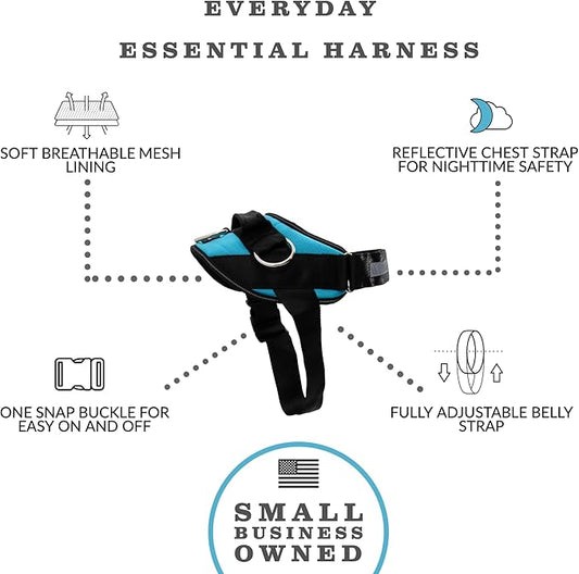 ShawnCo Essential Dog Harness, No-Pull Pet Vest with 3 Leash Clips, No Choke, Reflective, Adjustable and Padded, for Easy Walking and Training for Small, Medium and Large Dogs (Oceanic Blue, S) SHAWNCO