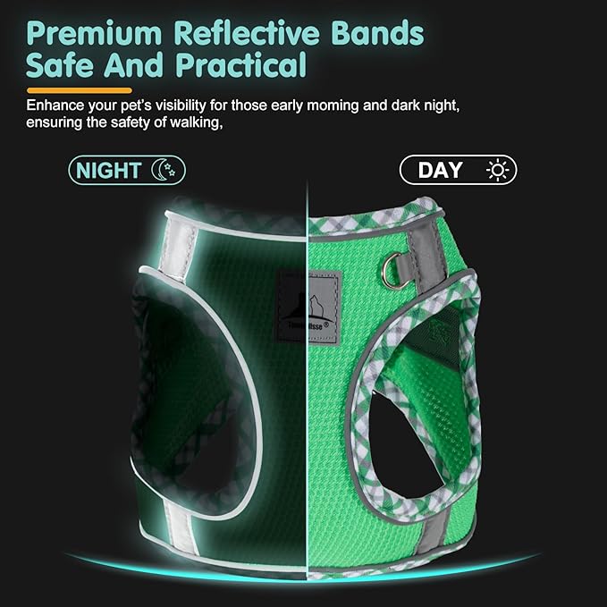 Dog Harness and Leash Set, No Pull Pet Harness for Small Dogs Easy Walking,Soft Breathable Small Dog Harness,Adjustable Reflective Step in Vest Harness for Puppy,Kitten, Cats TomteNisse