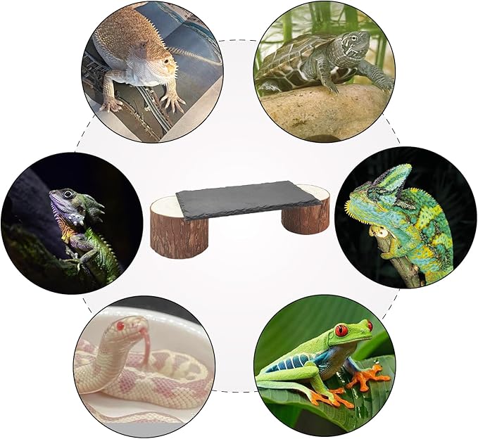 Bearded Dragon Basking Platform with Wooden Pile,Reptiles Hideout Cave,Turtle Basking Rock,Terrarium Habitat Decor Tank Accessories for Tortoise Lizards Snakes Chameleon Style B Gxsdj