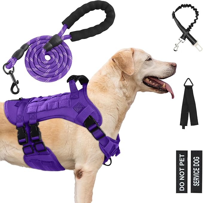 No Pull Tactical Dog Harness for Small Dogs, Escape Proof Molle Dog Vest Harness and Leash Set, Adjustable Military Service Dog Harness with Handle for Medium Large Dogs(S:25"-30"Chest Girth) Yungaspy