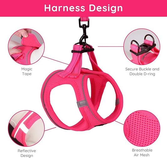 BELLA & PAL Puppy Harness with Leash Set, Dog Harness for Small Dogs No Pull, Dog Leash for Small Dogs, Step in Harness for Extra Small Dogs, Hot Pink Harness, XS BELLAPAL